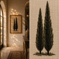 Cypress Trees Handmade Embroidery Wall Art