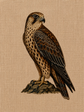 Majestic Falcon Handmade Embroidery Wall Art