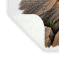 Flower Blooms Amid Rock - Blanket