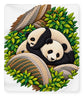 Playful Pandas in Bamboo Forest - Blanket