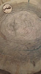 Handmade Olive Wood Pyrography Art – Wood Burning Wall Decor / Whisper of the Plains